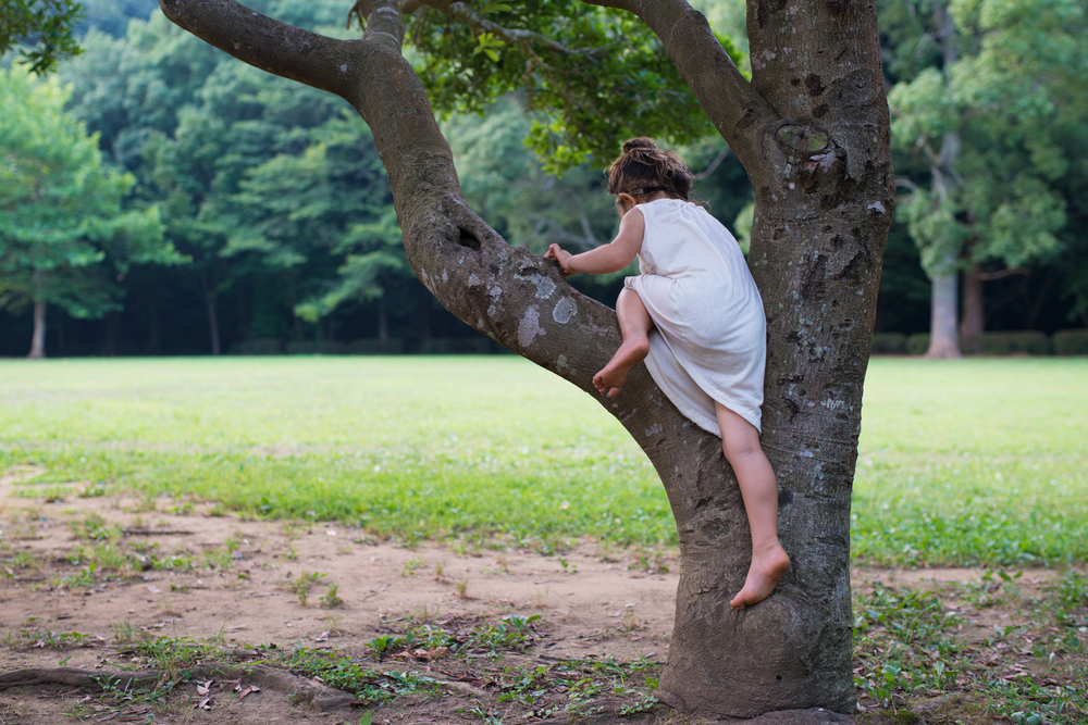 girl-tree